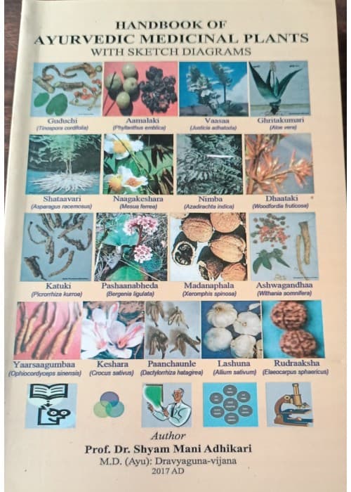 Handbook of Ayurvedic Medicinal Plants with Sketch Diagrams