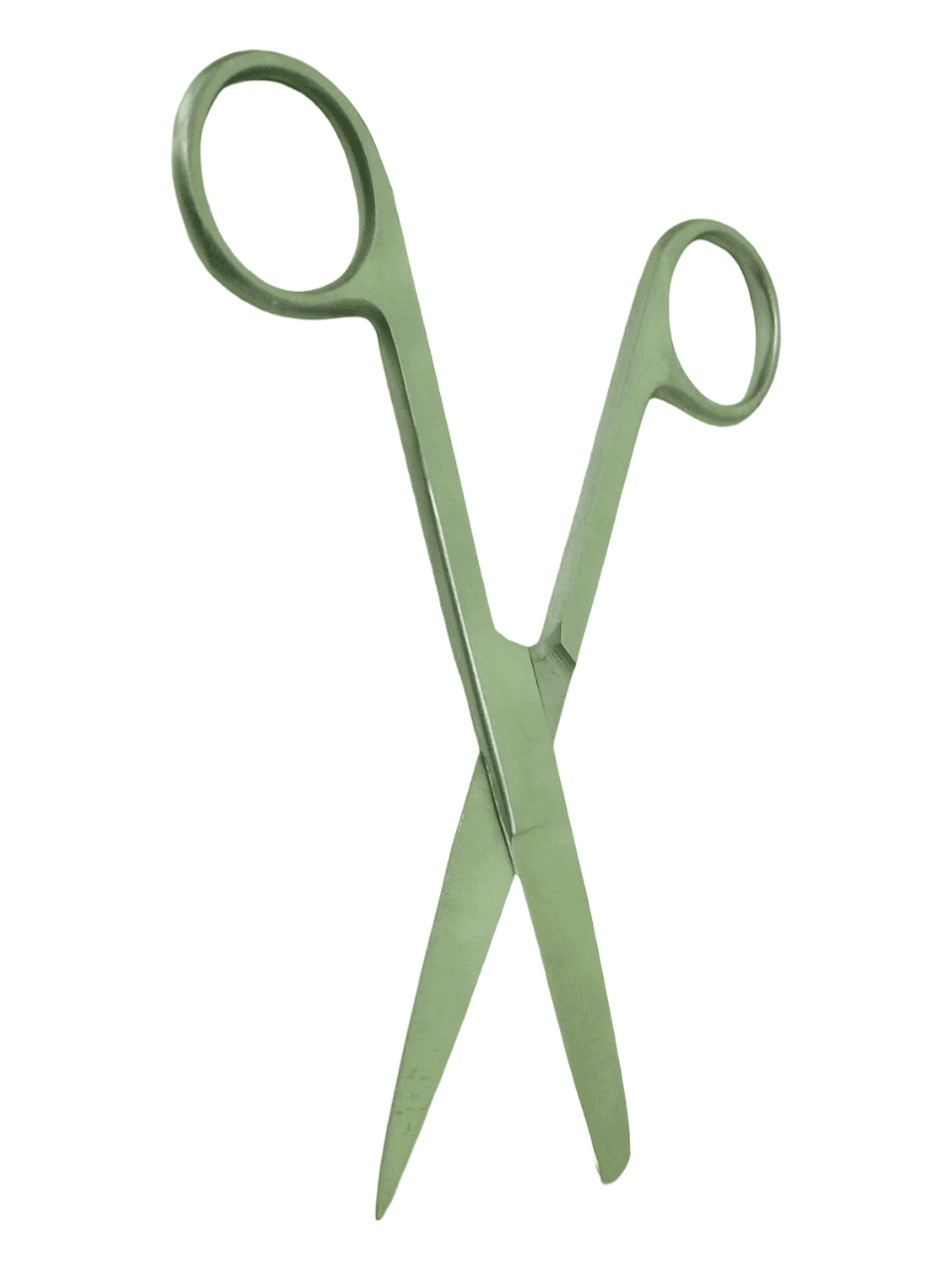 Medical Nurses Stainless Steel Scissors (Blunt/Sharp) 5 inches